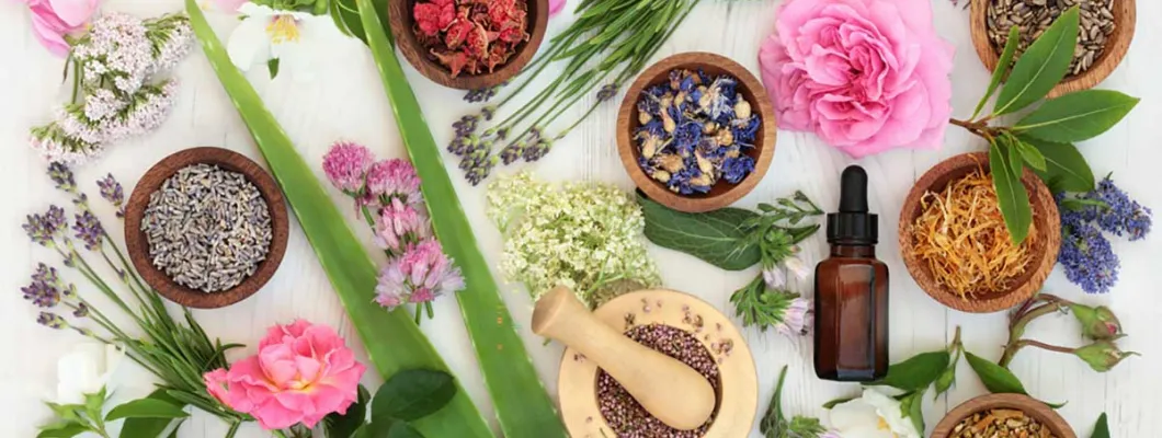 5 Билки срещу високо кръвно налягане и ефектите от тях