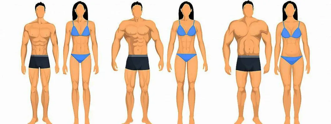 Ектоморф, Ендоморф, Мезоморф или типовете тела за спорт