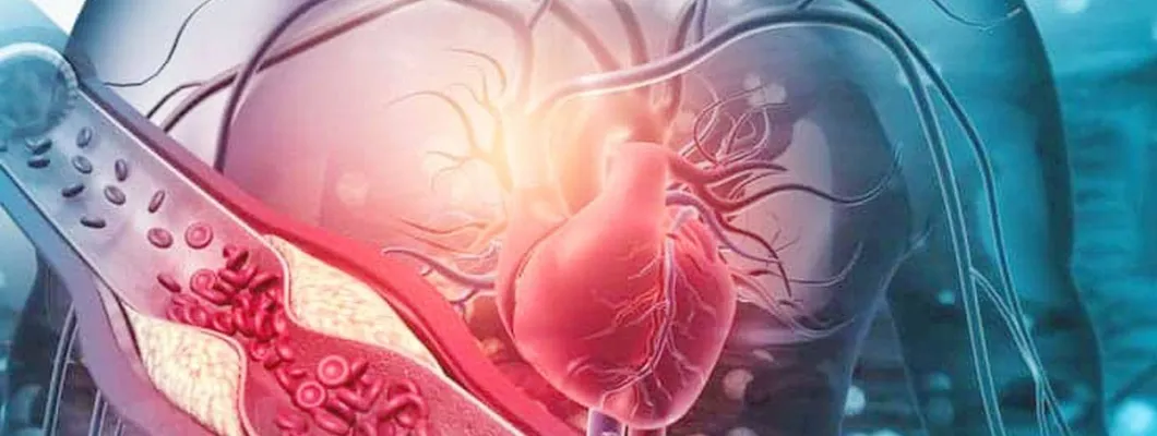 Потвърдената истина за холестерола