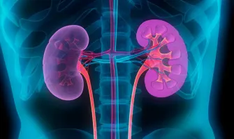 Проблем с бъбреците – какви добавки да приемаме