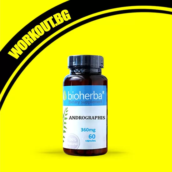 Bioherba Andrographis