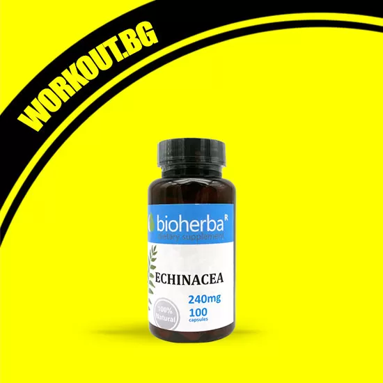 Bioherba Echinacea 240 mg