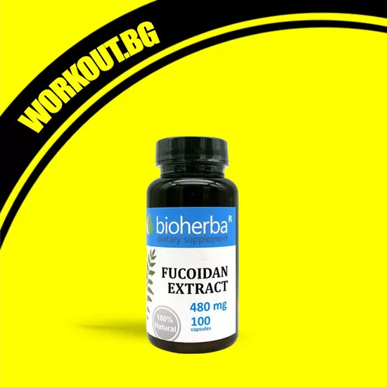 Bioherba Fucoidan Extract 480 mg