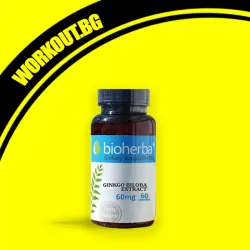 Ginkgo Biloba Extract 60 mg