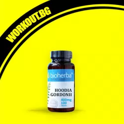 Hoodia Gordonii
