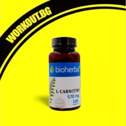 L-Carnitine 570 mg