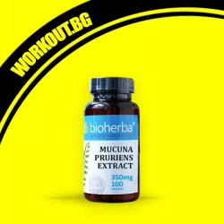 Mucuna Pruriens Extract 350 mg