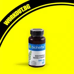 Rhodiola Rosea Root 500 mg