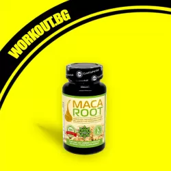 Maca Root