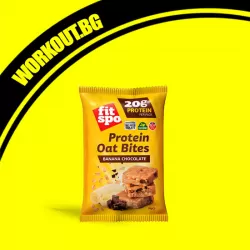 Protein Oat Bites