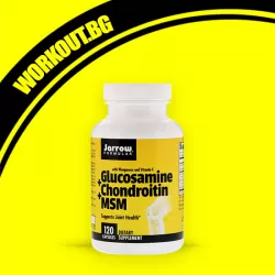 Glucosamine, Chondroitin, MSM