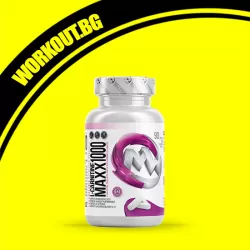 L-Carnitine Maxx 1000