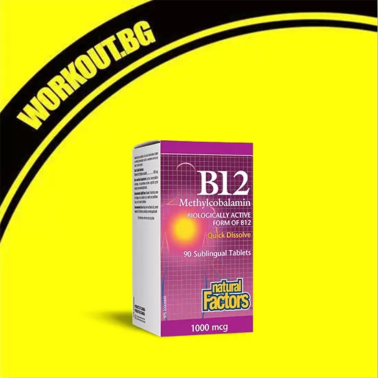 Natural Factors Vitamin B12 Methylcobalamin 1000 mcg