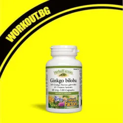 Ginkgo Biloba 60 mg