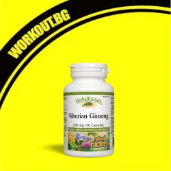 Siberian Ginseng 250 mg