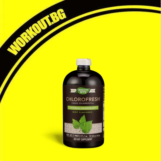 Nature's Way Chlorofresh Liquid Complex 473 ml - Mint Flavored