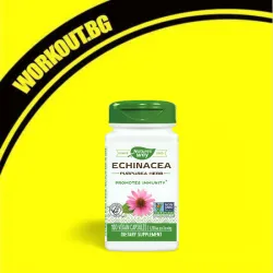 Echinacea 400 mg