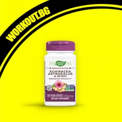 Echinacea & Astragalus & Reishi 400 mg