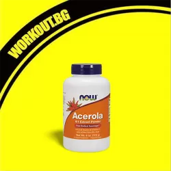 Acerola 4:1 Extract Powder