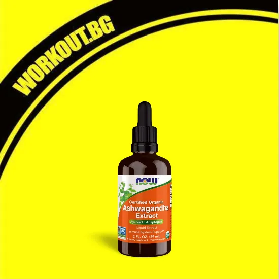 NOW Foods Ashwagandha Extract Liquid | Certified Organic