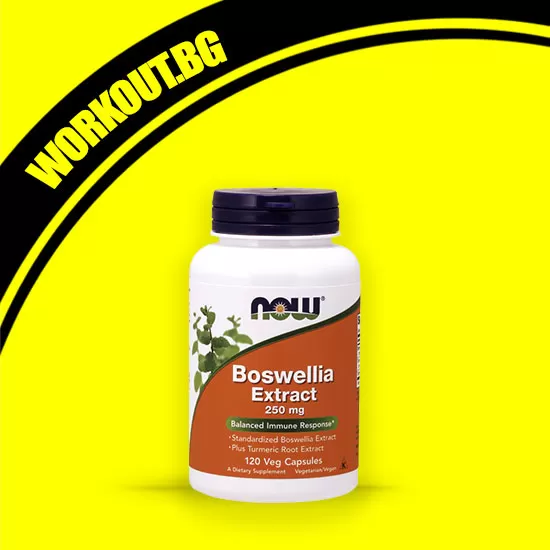 NOW Foods Boswellia Extract 250 mg