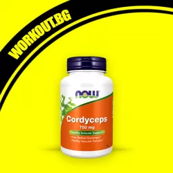Curcumin 475 mg