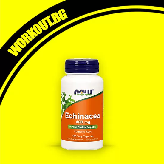 NOW Foods Echinacea 400 mg