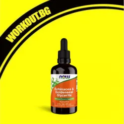 Echinacea & Goldenseal Plus