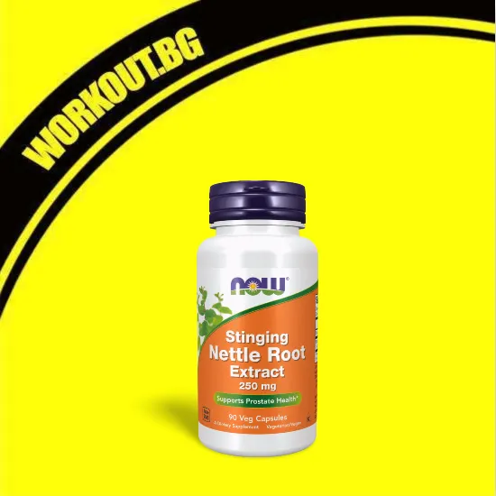 NOW Foods Stinging Nettle Root Extract 250 mg