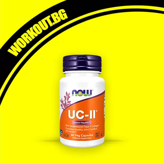 NOW Foods UC II / Type 2 Collagen 40 mg
