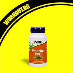 Valerian Root 500 mg