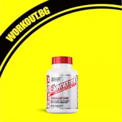 Lipo 6 / L-Carnitine