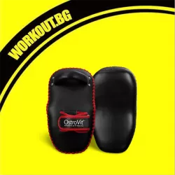 Тренировъчни щитове за ръце / Training Shields