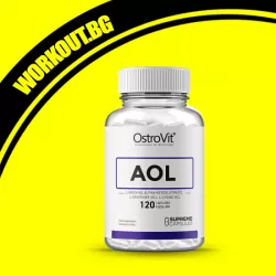 AOL Arginine Ornithine Lysine 120 К