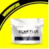BCAA Plus 400 Г