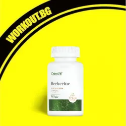 Berberine 500 mg