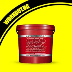 100% Whey Professional
