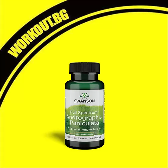 SWANSON Full Spectrum Andrographis Paniculata 400 mg