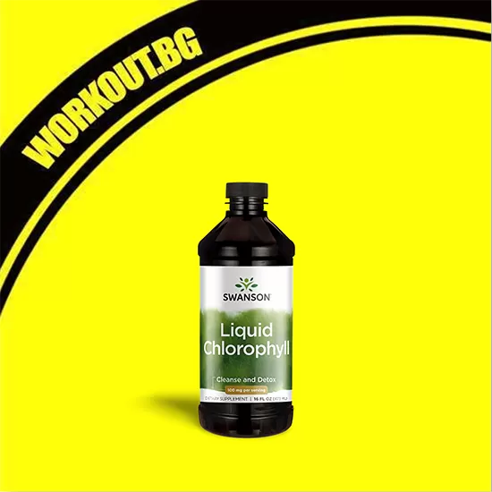 SWANSON Liquid Chlorophyll