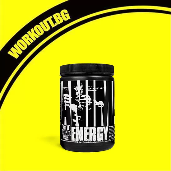 Universal Animal Animal Energy