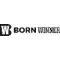 Born Winner logo